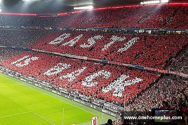 认识辉达平台娱乐